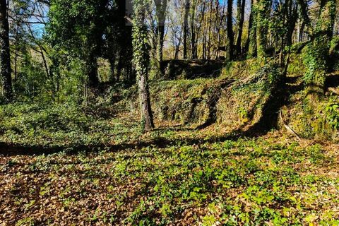 Ruinere i Ponte de Lima, Viana do Castelo, Ponte de Lima - € 60.000 | Ref: RUÏ_1762 - foto 16