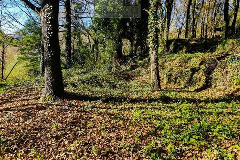 Ruinere i Ponte de Lima, Viana do Castelo, Ponte de Lima - € 60.000 | Ref: RUÏ_1762 - foto 17