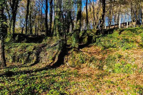 Ruinere i Ponte de Lima, Viana do Castelo, Ponte de Lima - € 60.000 | Ref: RUÏ_1762 - foto 18