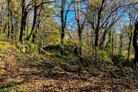 Ruinere i Ponte de Lima, Viana do Castelo, Ponte de Lima - € 60.000 | Ref: RUÏ_1762 - foto 19
