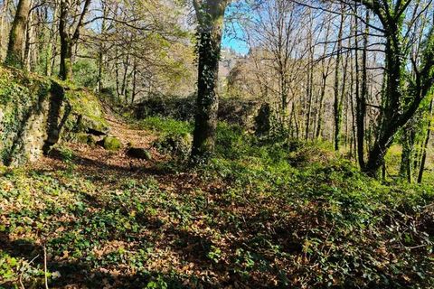 Ruinere i Ponte de Lima, Viana do Castelo, Ponte de Lima - € 60.000 | Ref: RUÏ_1762 - foto 20
