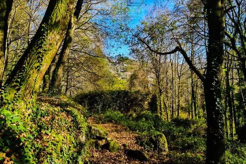Ruinere i Ponte de Lima, Viana do Castelo, Ponte de Lima - € 60.000 | Ref: RUÏ_1762 - foto 21