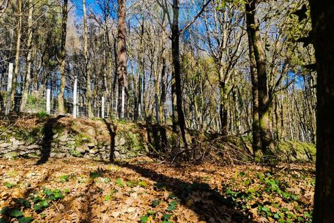 Ruinere i Ponte de Lima, Viana do Castelo, Ponte de Lima - € 60.000 | Ref: RUÏ_1762 - foto 23