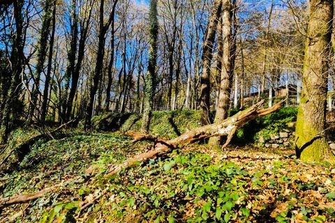 Ruinere i Ponte de Lima, Viana do Castelo, Ponte de Lima - € 60.000 | Ref: RUÏ_1762 - foto 24
