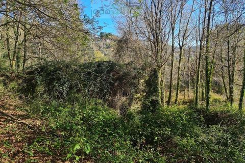 Ruinere i Ponte de Lima, Viana do Castelo, Ponte de Lima - € 60.000 | Ref: RUÏ_1762 - foto 25