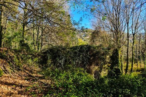Ruinere i Ponte de Lima, Viana do Castelo, Ponte de Lima - € 60.000 | Ref: RUÏ_1762 - foto 26