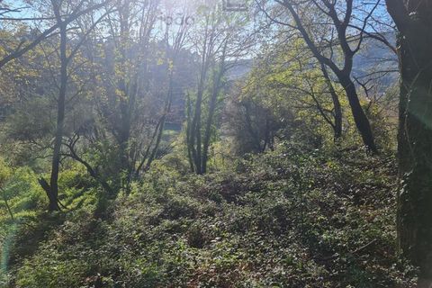 Ruinere i Ponte de Lima, Viana do Castelo, Ponte de Lima - € 60.000 | Ref: RUÏ_1762 - foto 27