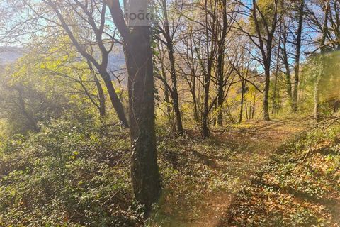 Ruinere i Ponte de Lima, Viana do Castelo, Ponte de Lima - € 60.000 | Ref: RUÏ_1762 - foto 28