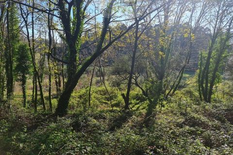 Ruinere i Ponte de Lima, Viana do Castelo, Ponte de Lima - € 60.000 | Ref: RUÏ_1762 - foto 29
