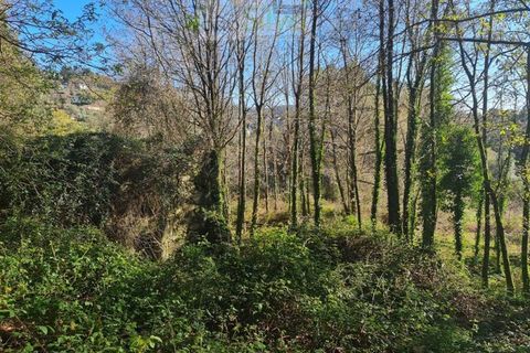 Ruinere i Ponte de Lima, Viana do Castelo, Ponte de Lima - € 60.000 | Ref: RUÏ_1762 - foto 30