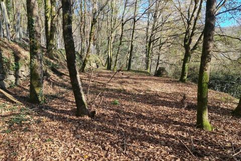 Ruinere i Ponte de Lima, Viana do Castelo, Ponte de Lima - € 60.000 | Ref: RUÏ_1762 - foto 31