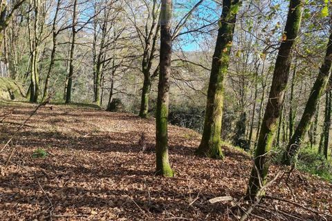 Ruinere i Ponte de Lima, Viana do Castelo, Ponte de Lima - € 60.000 | Ref: RUÏ_1762 - foto 32