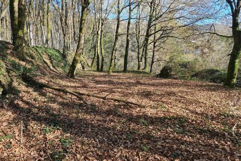 Ruinere i Ponte de Lima, Viana do Castelo, Ponte de Lima - € 60.000 | Ref: RUÏ_1762 - foto 33