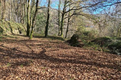 Ruinere i Ponte de Lima, Viana do Castelo, Ponte de Lima - € 60.000 | Ref: RUÏ_1762 - foto 34