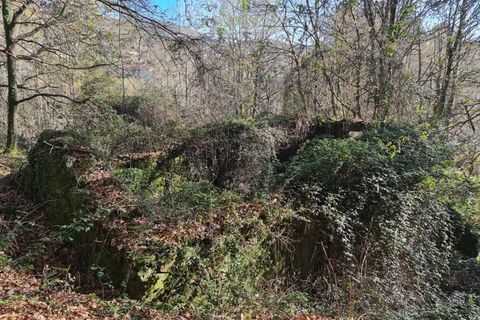 Ruinere i Ponte de Lima, Viana do Castelo, Ponte de Lima - € 60.000 | Ref: RUÏ_1762 - foto 35