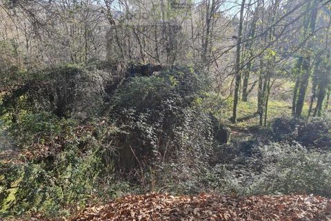 Ruinere i Ponte de Lima, Viana do Castelo, Ponte de Lima - € 60.000 | Ref: RUÏ_1762 - foto 36