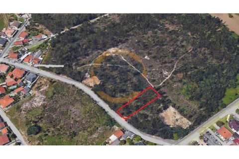 Helårsgrund i Ovar, Aveiro, Ovar - € 70.000 | Ref: T/0781 (5) - foto 1