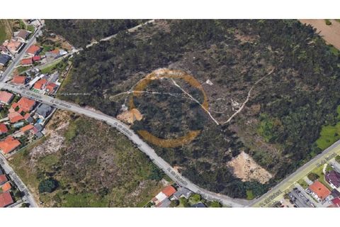 Helårsgrund i Ovar, Aveiro, Ovar - € 75.000 | Ref: T/0781 (1) - foto 4