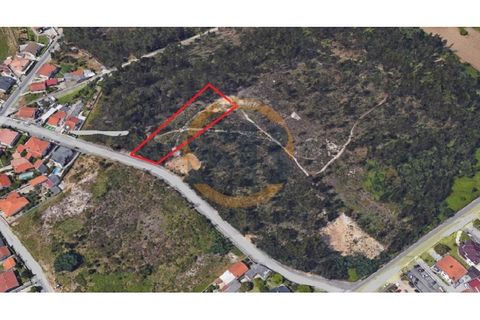 Helårsgrund i Ovar, Aveiro, Ovar - € 100.000 | Ref: T/0781 - foto 1