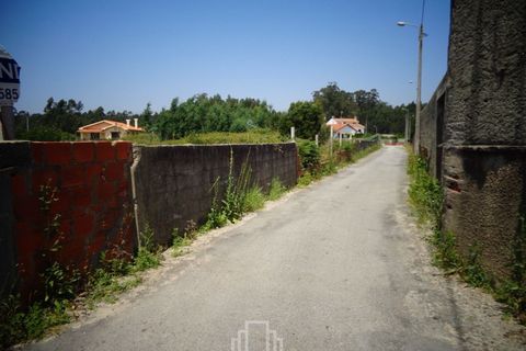 Helårsgrund i Estarreja, Aveiro, Estarreja - € 125.000 | Ref: 013/417 - foto 5