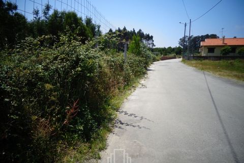 Helårsgrund i Estarreja, Aveiro, Estarreja - € 125.000 | Ref: 013/417 - foto 8