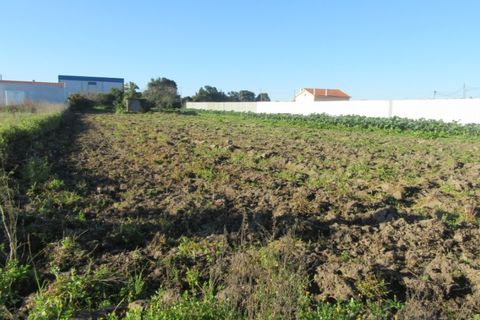 Grond in Monte Real, Leiria, Monte Real - € 70.000 | Ref: mg1741-4 - foto 1