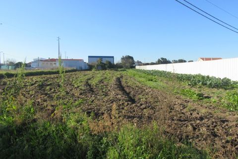 Grond in Monte Real, Leiria, Monte Real - € 70.000 | Ref: mg1741-4 - foto 2