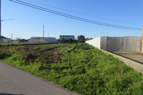 Grond in Monte Real, Leiria, Monte Real - € 70.000 | Ref: mg1741-4 - foto 3