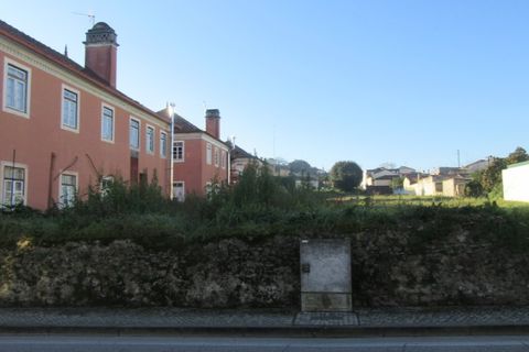 Tomt i Monte Real, Leiria, Monte Real - € 145 000 | Ref: mg1741-2 - foto 2