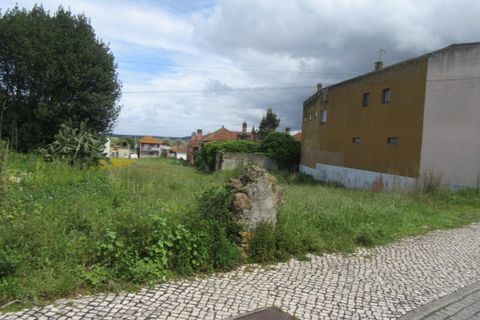 Tomt i Monte Real, Leiria, Monte Real - € 145 000 | Ref: mg1741-2 - foto 3