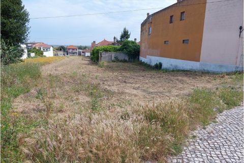 Tomt i Monte Real, Leiria, Monte Real - € 145 000 | Ref: mg1741-2 - foto 4