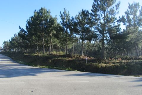 Helårsgrund i Monte Real, Leiria, Monte Real - € 330.000 | Ref: mg1741-5 - foto 2