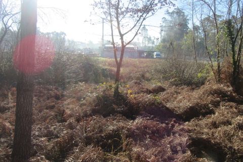 Helårsgrund i Monte Real, Leiria, Monte Real - € 330.000 | Ref: mg1741-5 - foto 8