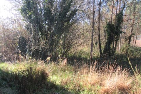 Helårsgrund i Monte Real, Leiria, Monte Real - € 330.000 | Ref: mg1741-5 - foto 9