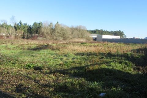 Helårsgrund i Monte Real, Leiria, Monte Real - € 330.000 | Ref: mg1741-5 - foto 10