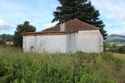 Landejendom i Belmonte, Castelo Branco, Belmonte - € 770.000 | Ref: EXP_49466 - foto 5