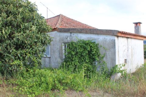 Landejendom i Belmonte, Castelo Branco, Belmonte - € 770.000 | Ref: EXP_49466 - foto 6