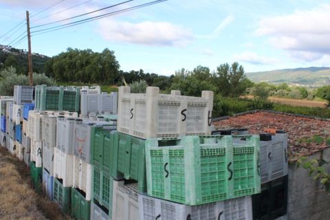 Landejendom i Belmonte, Castelo Branco, Belmonte - € 770.000 | Ref: EXP_49466 - foto 18