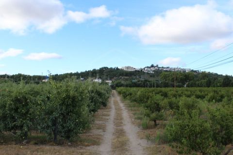 Landejendom i Belmonte, Castelo Branco, Belmonte - € 770.000 | Ref: EXP_49466 - foto 10