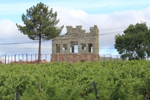 Landejendom i Belmonte, Castelo Branco, Belmonte - € 770.000 | Ref: EXP_49466 - foto 26