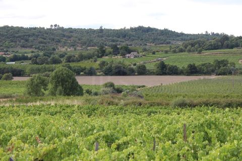 Landejendom i Belmonte, Castelo Branco, Belmonte - € 770.000 | Ref: EXP_49466 - foto 19