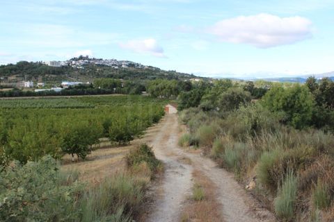 Landejendom i Belmonte, Castelo Branco, Belmonte - € 770.000 | Ref: EXP_49466 - foto 31