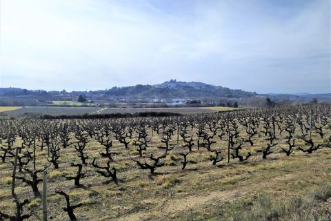 Landejendom i Belmonte, Castelo Branco, Belmonte - € 770.000 | Ref: EXP_49466 - foto 34