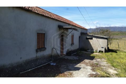 Landejendom i Belmonte, Castelo Branco, Belmonte - € 770.000 | Ref: EXP_49466 - foto 2