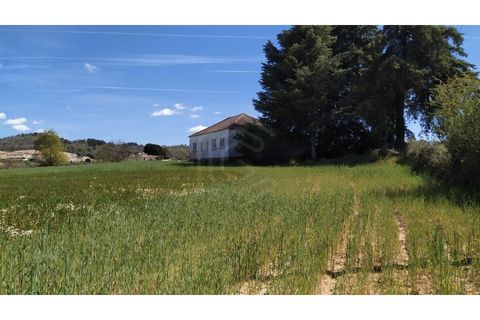 Landejendom i Belmonte, Castelo Branco, Belmonte - € 770.000 | Ref: EXP_49466 - foto 7