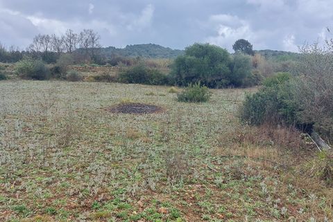 Finca i Ulldecona, Tarragona, Ulldecona - € 12.000 | Ref: 664 - foto 9