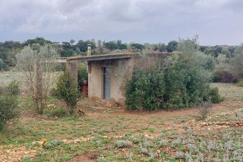Finca i Ulldecona, Tarragona, Ulldecona - € 12.000 | Ref: 664 - foto 11