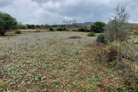 Finca i Ulldecona, Tarragona, Ulldecona - € 12.000 | Ref: 664 - foto 6