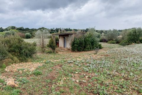 Finca i Ulldecona, Tarragona, Ulldecona - € 12.000 | Ref: 664 - foto 5