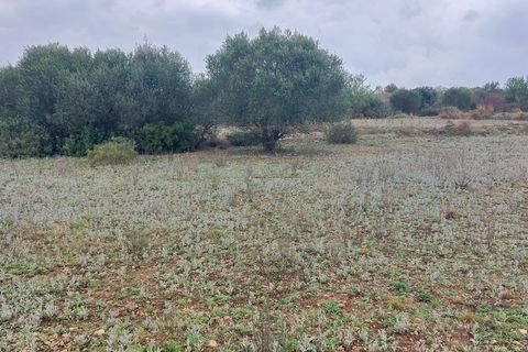 Finca i Ulldecona, Tarragona, Ulldecona - € 12.000 | Ref: 664 - foto 8